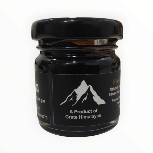 40 GM Shilajit Resin - Image 4